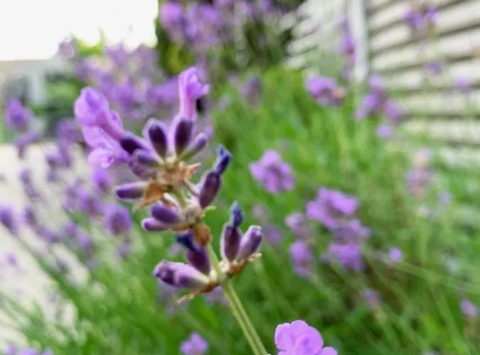 Hotel Am Erzengel 4*